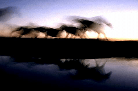 Screen Shot 2016-01-25 at 3.48.43 PM